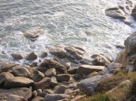 Littoral breton - Sentier côtier de Trégana - Locmaria-Plouzané (29)