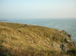 Sentier côtier de Trégana - Locmaria-Plouzané (29)
