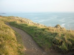 Sentier côtier de Trégana - Locmaria-Plouzané (29)