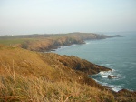 Sentier côtier de Trégana - Locmaria-Plouzané (29)