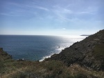 IMG_9004.JPG
