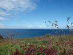 Pointe du Raz - Finisètre (29) - Domaine de Kerscao