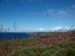 Pointe du Raz - Finisètre (29) - Domaine de Kerscao