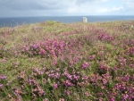 Pointe du Van - Finisètre (29) - Domaine de Kerscao
